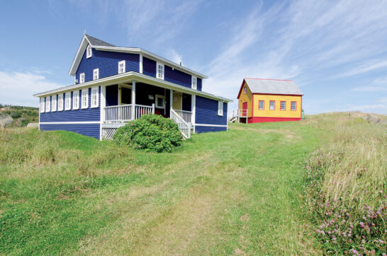 Newfoundland housing
