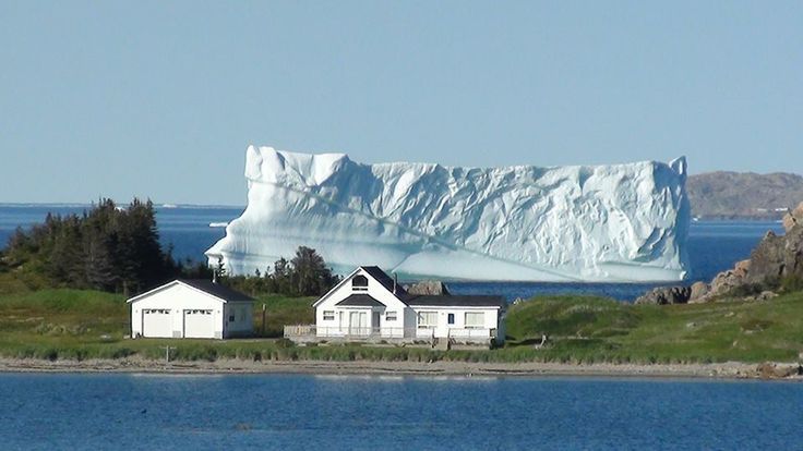Icebergs in Twillingate